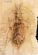 LEONARDO da Vinci The organs of the woman oil on canvas